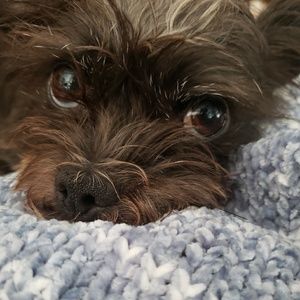 Meet your Posher, Karina